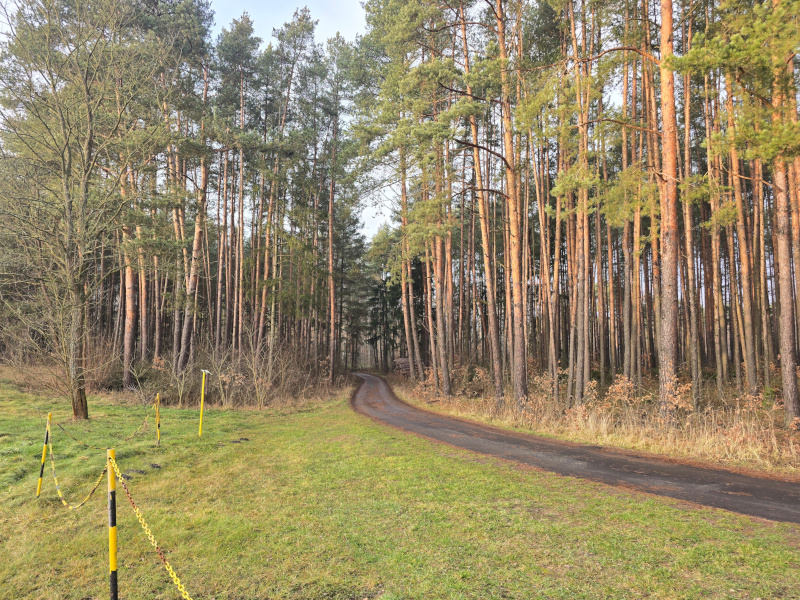 Piękna okolica Krzykawki - Jura Krakowsko-Częstochowska