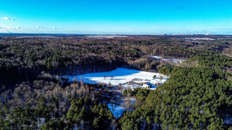 Jura Krakowsko-Częstochowska - atrakcje w pobliżu Krzykawki